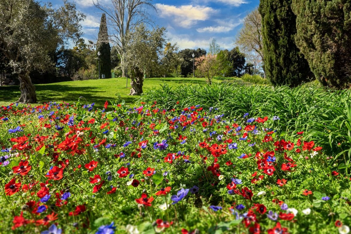 Comment Cr Er Un Jardin Vertical Atmosph Re Du Jardin